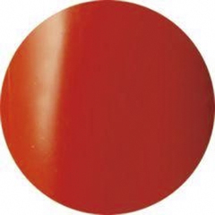 【BLACK LINE 310】Warm Orange【Gel Polish 16ml】
