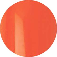 【BL022】Mikan orange【BL nail】