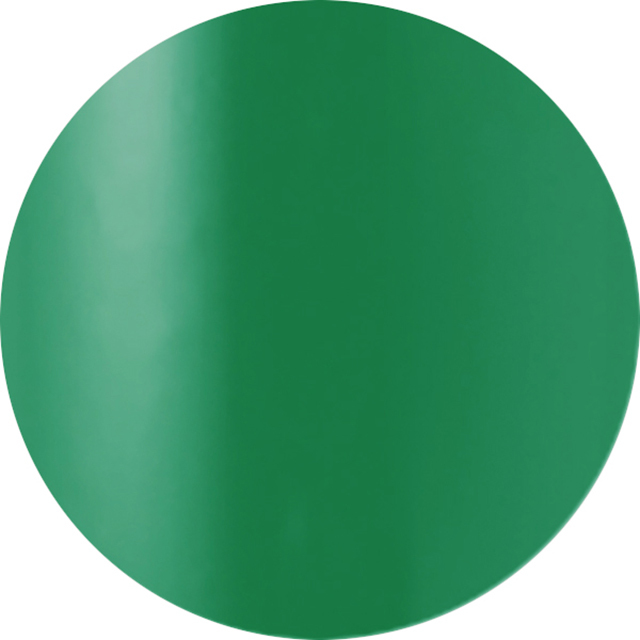 【VL483】bottega green【No.19】